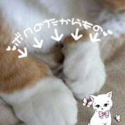 ヒメ日記 2025/07/15 07:34 投稿 茜 るい ハレ系 福岡DEまっとる。