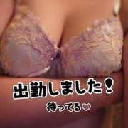 ヒメ日記 2026/09/24 09:52 投稿 茜 るい ハレ系 福岡DEまっとる。＆ひよこ治療院