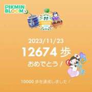 ヒメ日記 2023/11/24 09:56 投稿 ひなほ☆未経験可愛い現役ナース卵 PREMIUM萌え可愛いチョコレート～全てのステージで感動の体験を～