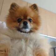 ヒメ日記 2025/01/07 20:20 投稿 なみき マリアージュ熊谷