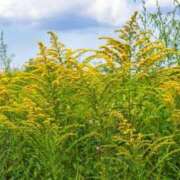 ヒメ日記 2025/10/29 10:20 投稿 なみき マリアージュ熊谷