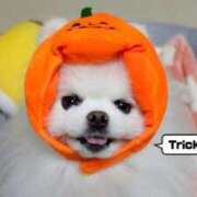 ヒメ日記 2025/10/30 09:20 投稿 なみき マリアージュ熊谷