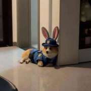 ヒメ日記 2025/11/27 12:20 投稿 なみき マリアージュ熊谷