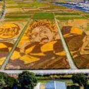 ヒメ日記 2025/12/01 07:50 投稿 なみき マリアージュ熊谷