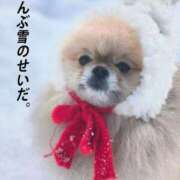 ヒメ日記 2026/01/03 08:00 投稿 なみき マリアージュ熊谷