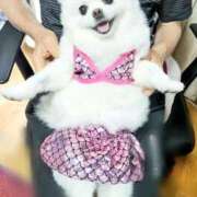 ヒメ日記 2026/01/04 17:27 投稿 なみき マリアージュ熊谷