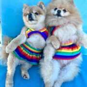 ヒメ日記 2026/01/24 16:04 投稿 なみき マリアージュ熊谷