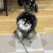 ヒメ日記 2026/01/30 08:40 投稿 なみき マリアージュ熊谷