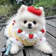 なみき 出勤🏃‍♀️‍➡️ マリアージュ熊谷