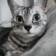 なみき ハレ🌻 マリアージュ熊谷