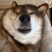 ヒメ日記 2026/02/22 11:50 投稿 なみき マリアージュ熊谷