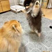 ヒメ日記 2026/03/04 09:40 投稿 なみき マリアージュ熊谷