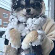 ヒメ日記 2026/03/11 09:00 投稿 なみき マリアージュ熊谷