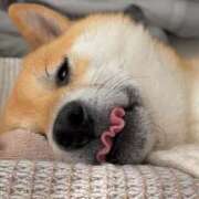 ヒメ日記 2026/03/13 09:20 投稿 なみき マリアージュ熊谷