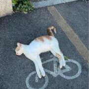 なみき 10:00〜😺 マリアージュ熊谷