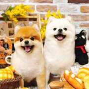 なみき ちょと暗い‥？ マリアージュ熊谷