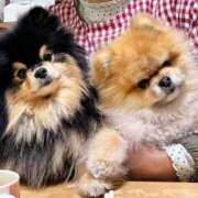 なみき おはみなさん マリアージュ熊谷