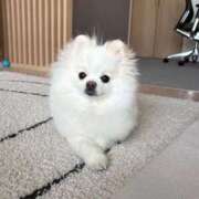 ヒメ日記 2026/04/06 10:40 投稿 なみき マリアージュ熊谷