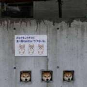 ヒメ日記 2026/04/13 21:26 投稿 なみき マリアージュ熊谷