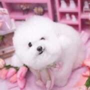 ヒメ日記 2026/04/14 09:20 投稿 なみき マリアージュ熊谷