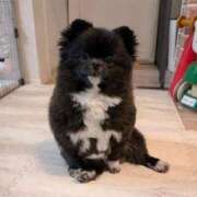 ヒメ日記 2026/04/17 09:20 投稿 なみき マリアージュ熊谷