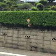 ヒメ日記 2026/04/23 09:50 投稿 なみき マリアージュ熊谷