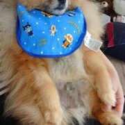 なみき おは🐶 マリアージュ熊谷