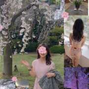 ヒメ日記 2025/04/06 00:11 投稿 つばき 奥鉄オクテツ東京店（デリヘル市場）