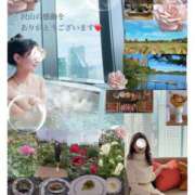 ヒメ日記 2025/11/18 00:35 投稿 つばき 奥鉄オクテツ東京店（デリヘル市場）