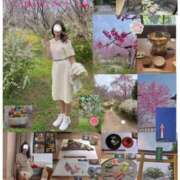 ヒメ日記 2026/04/13 01:20 投稿 つばき 奥鉄オクテツ東京店（デリヘル市場）