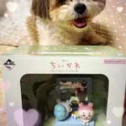 ヒメ日記 2025/09/20 18:23 投稿 つむぎ 高級エステ セラピスト