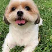 ヒメ日記 2025/11/01 20:53 投稿 つむぎ 高級エステ セラピスト