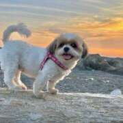 ヒメ日記 2025/11/16 20:33 投稿 つむぎ 高級エステ セラピスト