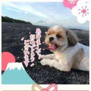 つむぎ 2026🐴 高級エステ セラピスト