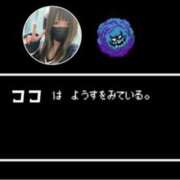 ヒメ日記 2025/04/27 15:10 投稿 高梨ここ ミセス大阪十三店