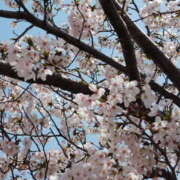 ヒメ日記 2026/02/27 14:50 投稿 さな 僕らのぽっちゃリーノin大宮