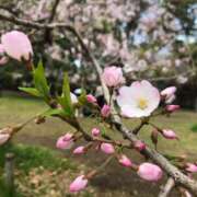 ヒメ日記 2025/03/09 09:41 投稿 たお 池袋人妻ヒットパレード（シンデレラグループ）