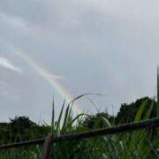 ヒメ日記 2025/08/07 08:31 投稿 たお 池袋人妻ヒットパレード（シンデレラグループ）