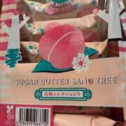 ヒメ日記 2025/06/20 15:57 投稿 じゅり アラモード