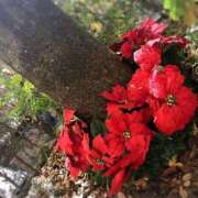 紀香（のりか） 突然ですが( °_° )!!! NOA（ノア）