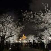 ヒメ日記 2025/04/10 18:17 投稿 桐島 れん バルボラ マリン