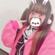 ヒメ日記 2025/10/24 11:42 投稿 うさぎ 錦糸町ちゃんこ