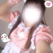 ヒメ日記 2025/11/01 12:52 投稿 うさぎ 錦糸町ちゃんこ