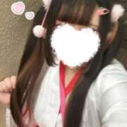 ヒメ日記 2025/11/28 13:22 投稿 うさぎ 錦糸町ちゃんこ