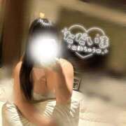 ヒメ日記 2026/02/18 08:12 投稿 うさぎ 錦糸町ちゃんこ