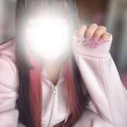 ヒメ日記 2026/03/19 14:12 投稿 うさぎ 錦糸町ちゃんこ