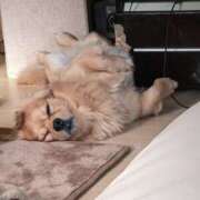 ヒメ日記 2025/06/29 06:27 投稿 福家　いおり PLATINA R-30（すすきの）