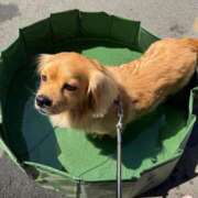 ヒメ日記 2025/07/07 10:29 投稿 福家　いおり PLATINA R-30（すすきの）