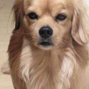 ヒメ日記 2025/07/14 11:29 投稿 福家　いおり PLATINA R-30（すすきの）