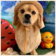 ヒメ日記 2025/07/30 14:32 投稿 福家　いおり PLATINA R-30（すすきの）